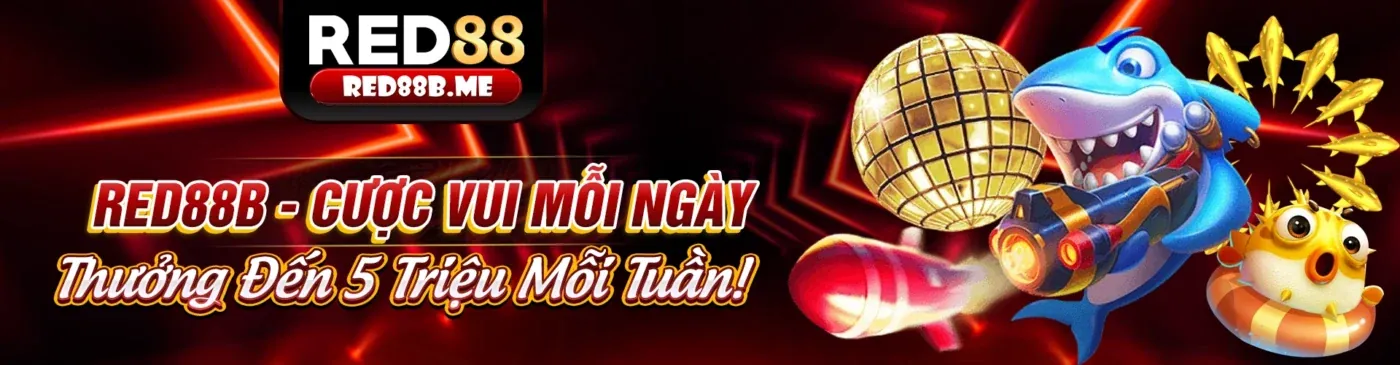 Điều khoản Dịch vụ của 11win app
